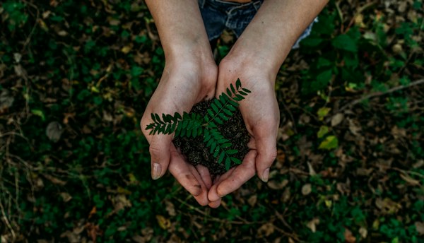 ISO 14001 Environmental Management